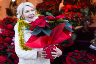 Bouquet de fleurs d'hiver pour célébrer Noël en famille
