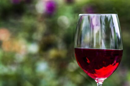 L'œnologie, tout un art à découvrir !