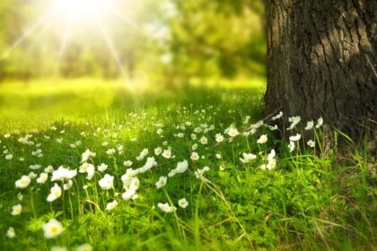 Partir à l’aventure pour profiter de la nature