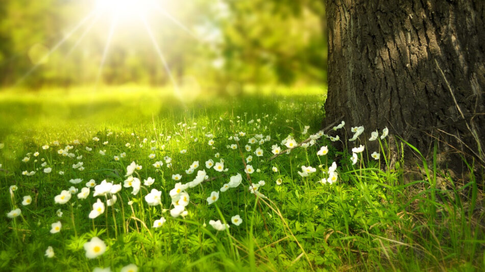 Partir à l’aventure pour profiter de la nature