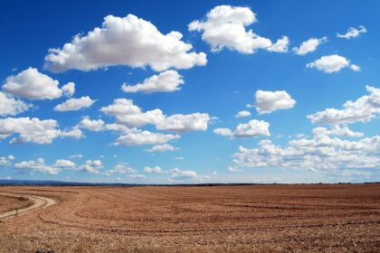 Que faut-il savoir des performances sur Youtube de Terres OléoPro ?