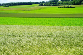 Quelques facteurs à considérer pour rechercher votre terrain constructible