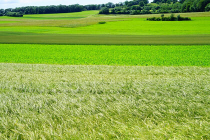 Quelques facteurs à considérer pour rechercher votre terrain constructible