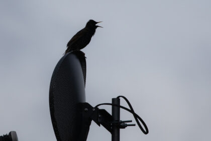 Un décodeur TNT 4 K vous permet de profiter d'une image et d'un son d'une excellente qualité